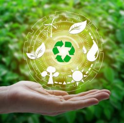 Environmental consultancy